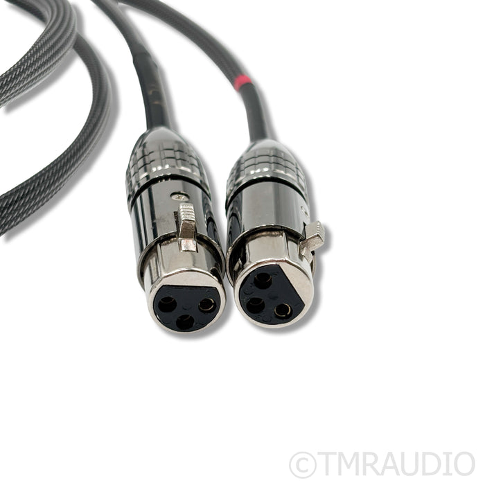Audience Au24 SE XLR Cables; 5ft Pair Balanced Interconnects