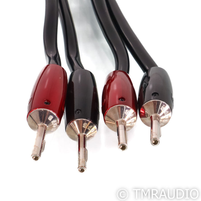 AudioQuest Rocket 44 Speaker Cables; 6' Pair