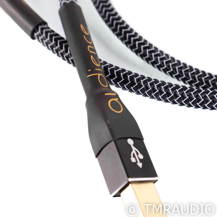 Audience Studio Two USB Cable; 1m Digital Interconnect