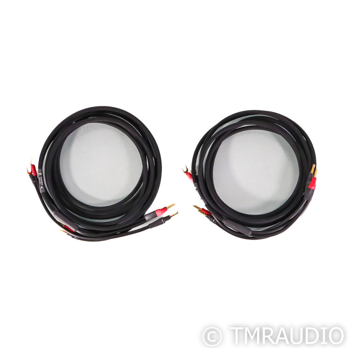 Synergistic Research SR30 Speaker Cables; 5m Pair
