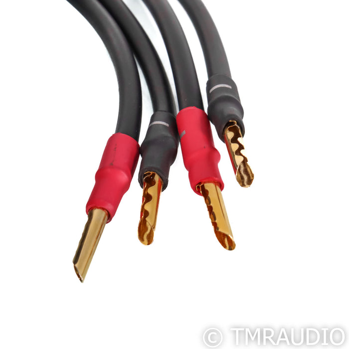 Synergistic Research SR30 Speaker Cables; 5m Pair