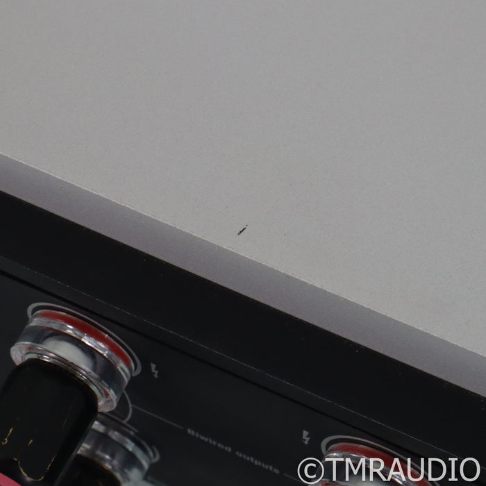 Mola Mola Kaluga Monoblock Power Amplifiers; Pair