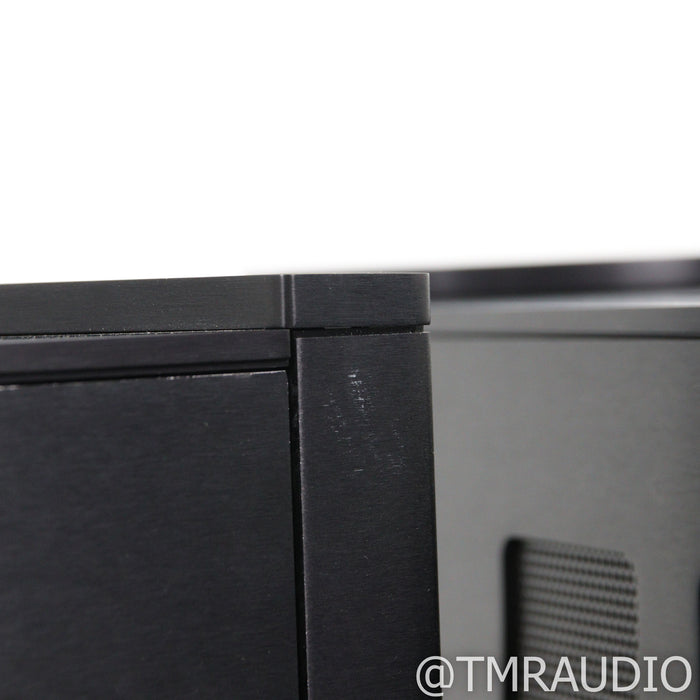Theta Digital Citadel 1.5 Monoblock Power Amplifiers; Pair