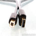 WireWorld Platinum Starlight 7 USB Cable; 1m Digital Interconnect