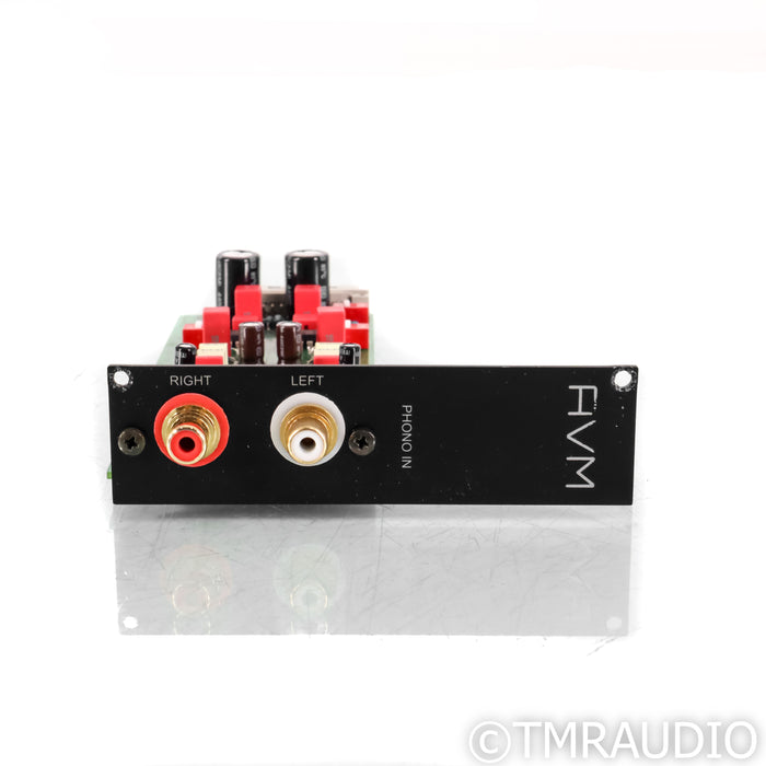 AVM Evolution Phono Card; Demo w/ Warranty