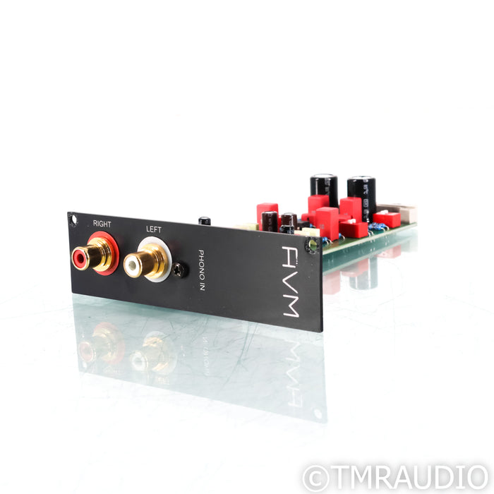AVM Evolution Phono Card; Demo w/ Warranty