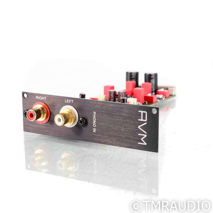 AVM Evolution Phono Card; Demo w/ Warranty