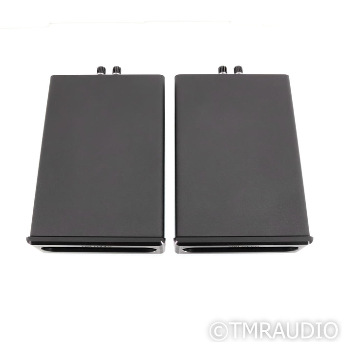 Bel Canto e.One REF600M Monoblock Power Amplifiers; Pair