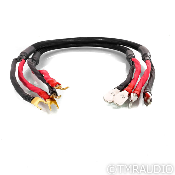 Granite Audio 753 Speaker Cables; 1m Pair; Paddle Terminations