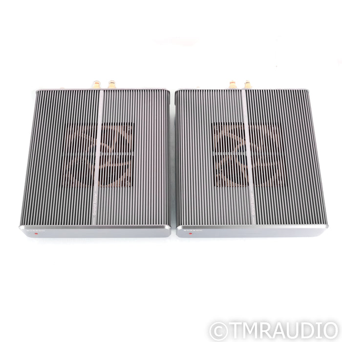 Burson Audio Timekeeper 3X GT Monoblock Power Amplifiers; Pair w/ Mothership 02
