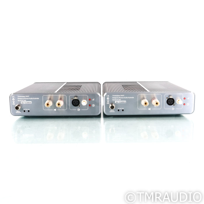 Burson Audio Timekeeper 3X GT Monoblock Power Amplifiers; Pair w/ Mothership 02
