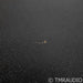 ELAC Varro PS250 10" Powered Subwoofer; Black