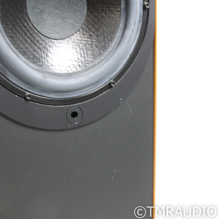 Wilson-Benesch A.C.T. Floorstanding Speakers; Pair