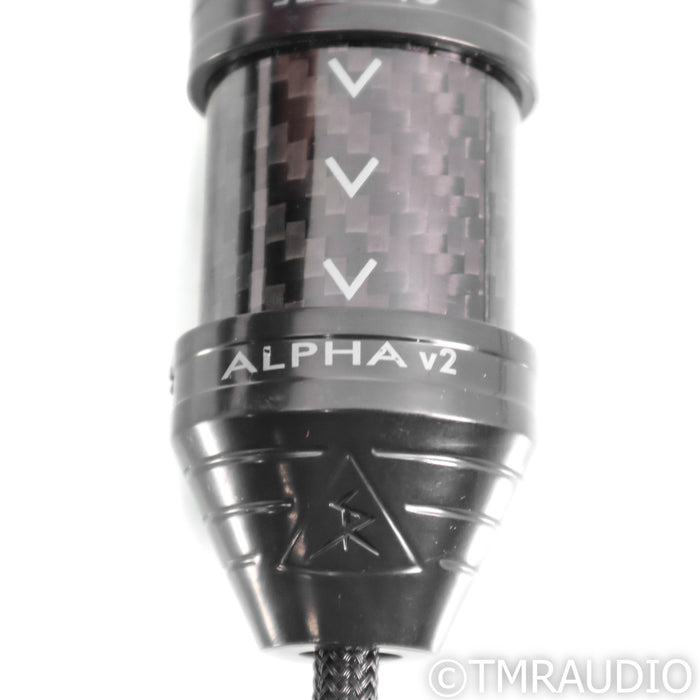 Shunyata Research Alpha v2 Clock 75 BNC Cable; 1m Digital Interconnect
