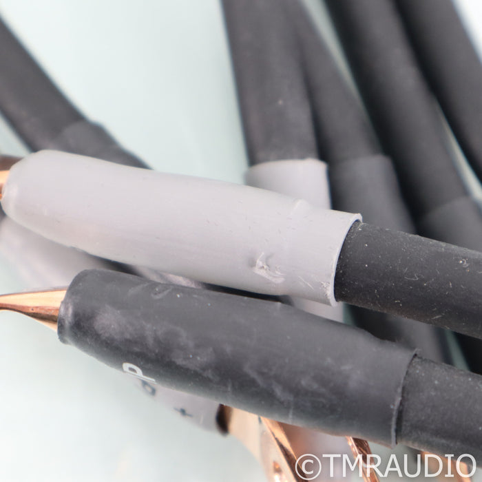 Shunyata Research Alpha V2 Speaker Cables; 2.5m Pair