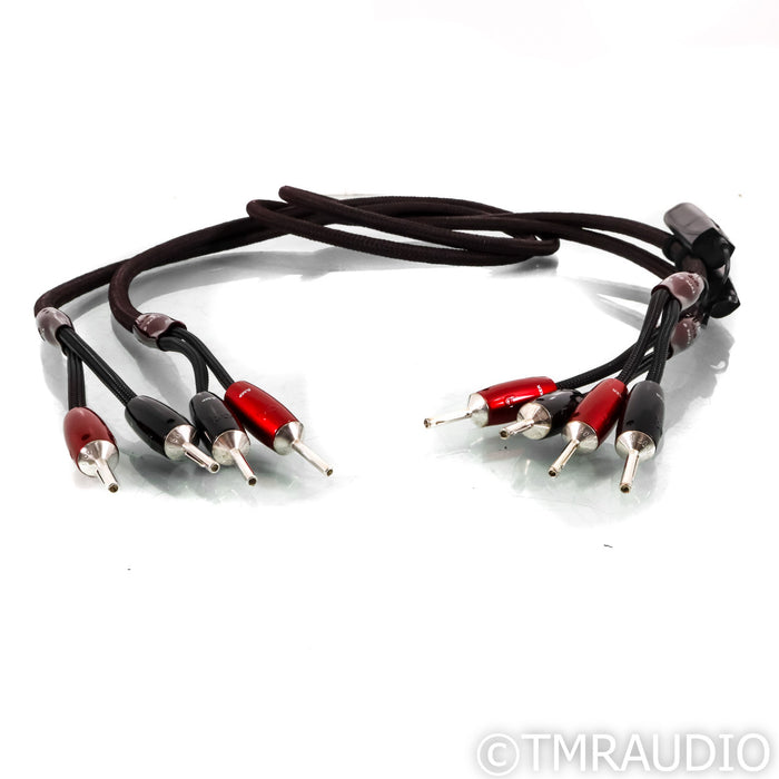 AudioQuest Type 9+ Speaker Cables; 1.8m Pair