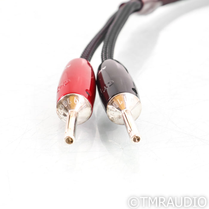 AudioQuest Type 9+ Speaker Cable; 0.9m Single