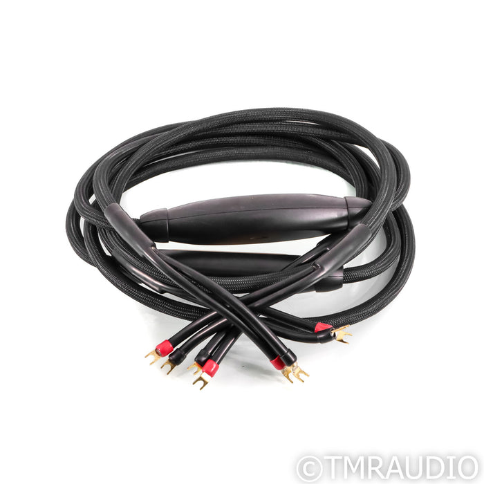 Transparent Audio MusicWave Super MM2 Speaker Cables; 10ft Pair