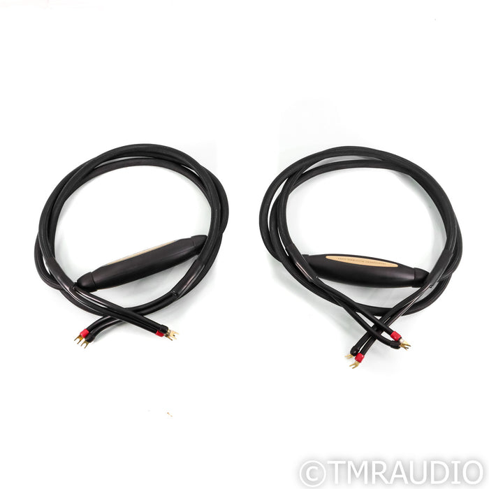 Transparent Audio MusicWave Super MM2 Speaker Cables; 10ft Pair