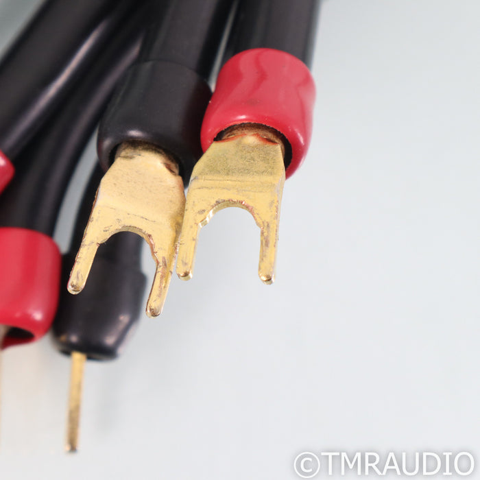 Transparent Audio MusicWave Super MM2 Speaker Cables; 10ft Pair