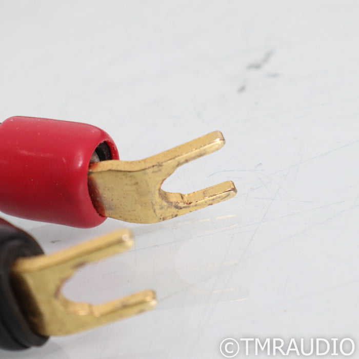 Transparent Audio MusicWave Super MM2 Speaker Cables; 10ft Pair