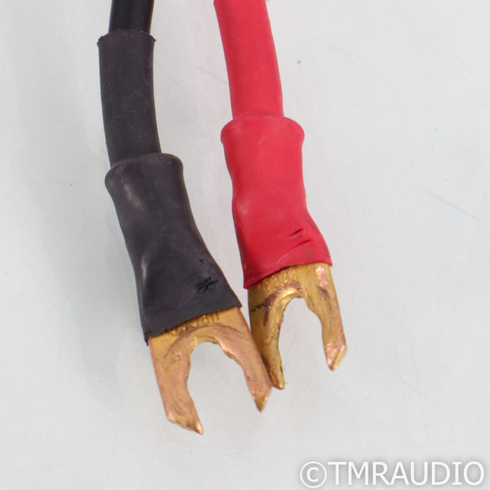 Acoustic Zen Satori Speaker Cables; 10ft Pair