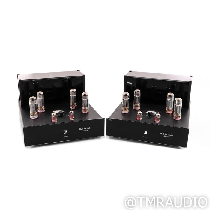 Black Ice Audio Fusion F100 Monoblock Tube Power Amplifiers; Pair