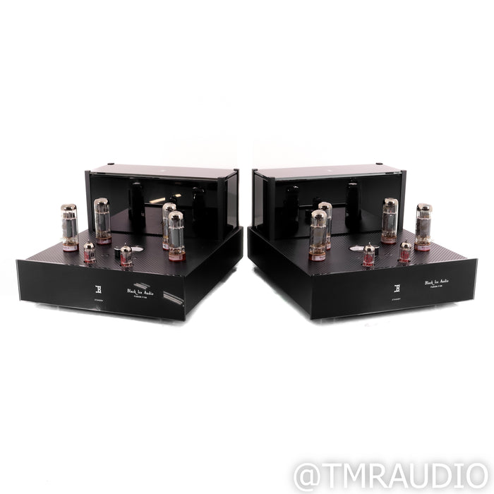 Black Ice Audio Fusion F100 Monoblock Tube Power Amplifiers; Pair