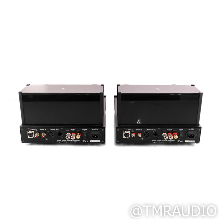 Black Ice Audio Fusion F100 Monoblock Tube Power Amplifiers; Pair