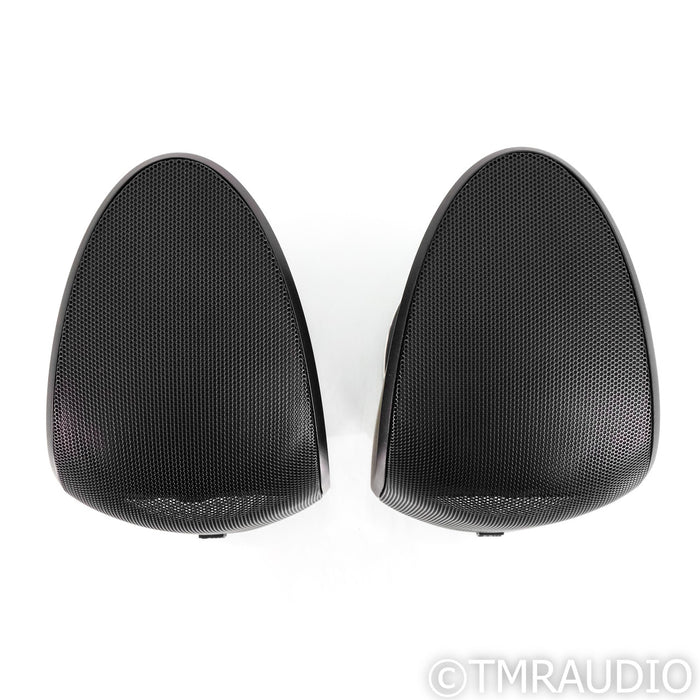 Bowers & Wilkins AM-1 Outdoor Speakers; Matte Black Pair