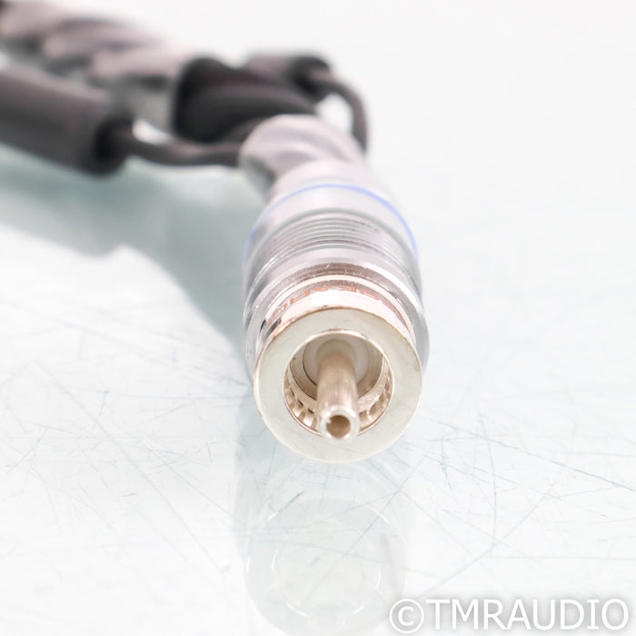 Synergistic Research Element CTS Subwoofer Cable; Single 8m Interconnect