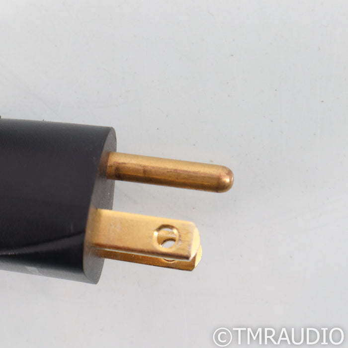 AudioQuest Monsoon Power Cable; 1m AC Cord
