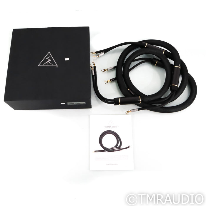 Shunyata Research Sigma V2 Speaker Cables; 2.5m Pair