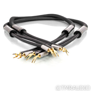 Shunyata Research Sigma V2 Speaker Cables; 2.5m Pair