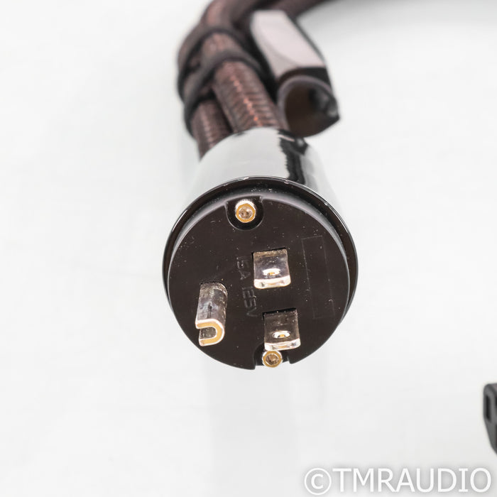 AudioQuest Thunder High (Variable) Current Power Cable; 1m AC Cord