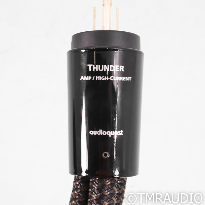 AudioQuest Thunder High (Variable) Current Power Cable; 1m AC Cord
