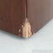Revel Performa3 M106 Bookshelf Speakers; Walnut Pair