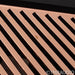 Legacy Audio i.V2 Stereo Power Amplifier; Dual Mono