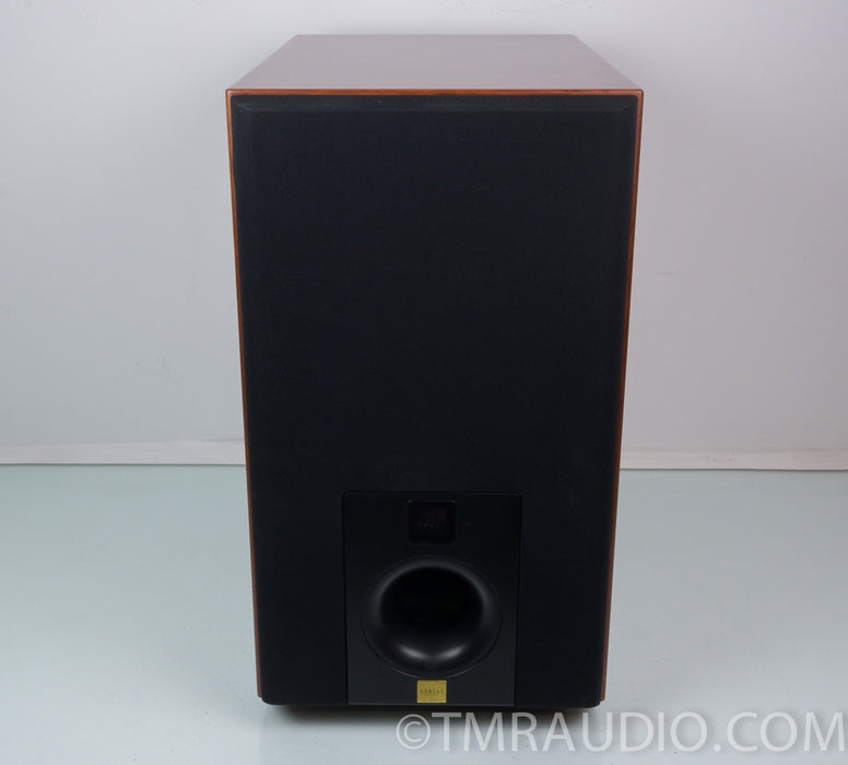 Aerial Acoustics SW-12 Powered Subwoofer