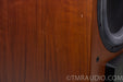 Aerial Acoustics SW-12 Powered Subwoofer