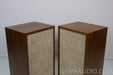 Dynaco A25 Vintage Speakers