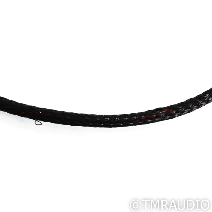 Ansuz Digitalz P Digital RCA Cable; 10m Single