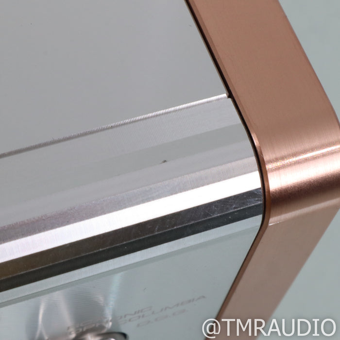 Dan D'Agostino Momentum MM & MC Phono Preamplifier