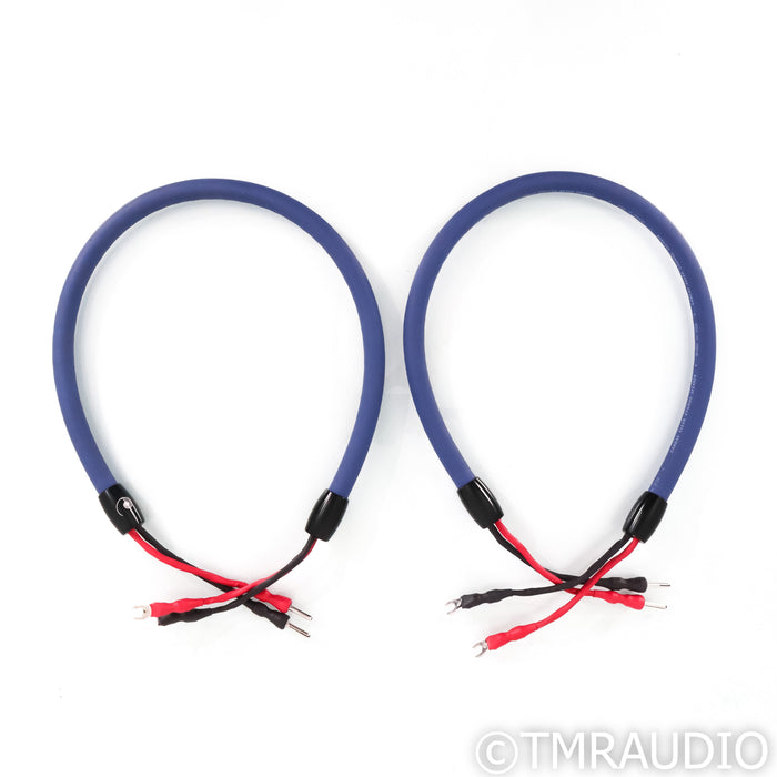 Cardas Audio Clear Cygnus Speaker Cables; 1m Pair