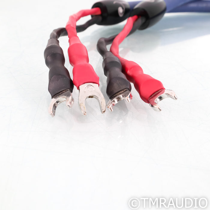 Cardas Audio Clear Cygnus Speaker Cables; 1m Pair