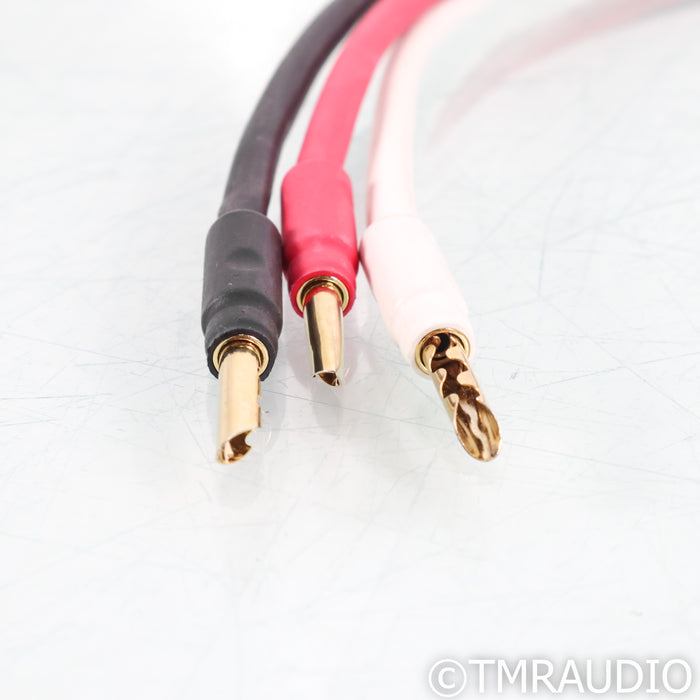 Morrow Audio Ultra REL Speakon Subwoofer Cable; 2m Interconnect
