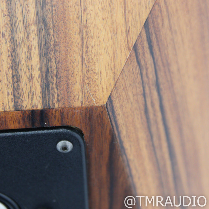 Avalon Acoustics Ascent Floorstanding Speakers; Pair (No Grills)