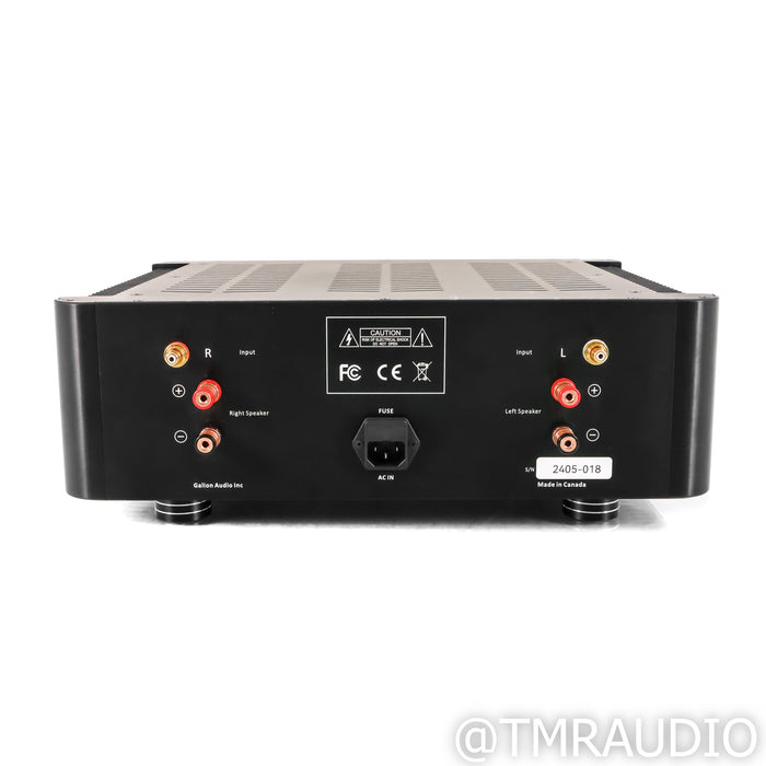 Galion Audio TS A20 Stereo Power Amplifier