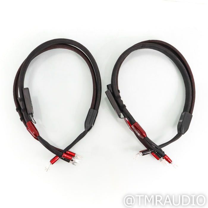 AudioQuest FireBird Bi-Wire Combo Speaker Cables; 4ft Pair