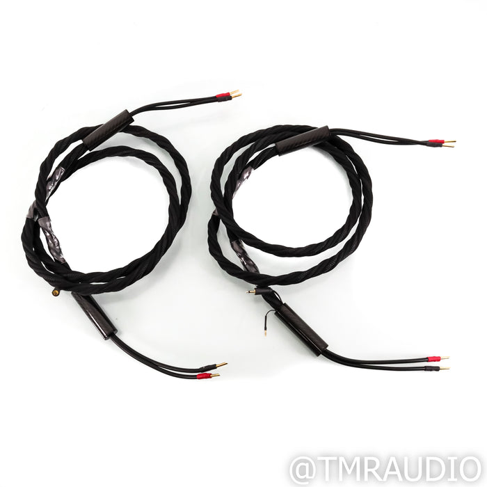 Synergistic Research Atmosphere UEF Level 4 Speaker Cable; 8ft Pair